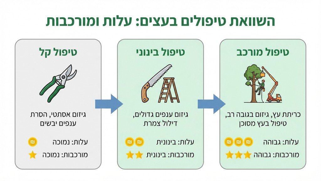 ציוד מקצועי לגיזום ותחזוקת עצים