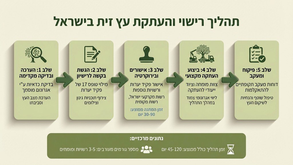 מסמכים ואישורים רשמיים מונחים על שולחן לצד שרטוט של גינה