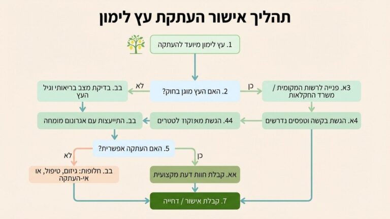 אישור חוקי להעתקת עץ לימון
